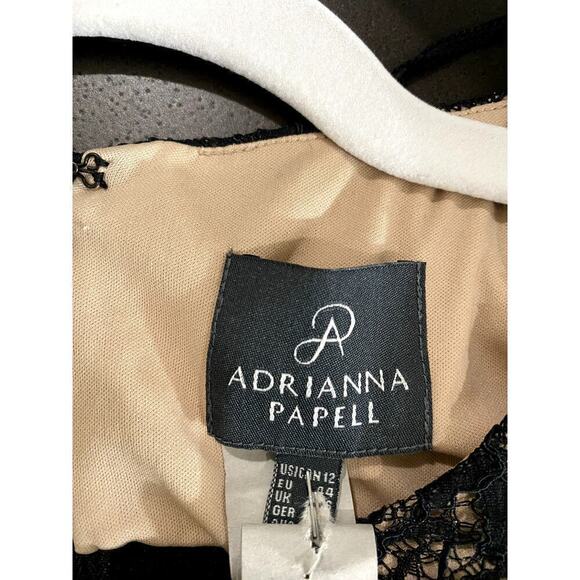 🛍️ Adrianna Papell Black Lace Pleated Cocktail Dress - Size 12 (EUC) - Picture 5 of 7